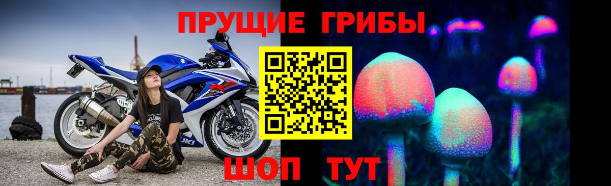 Галлюциногенные грибы MAGIC MUSHROOMS  Псилоцибиновые грибы Psilocybe  Вход с VPN  Ливны 